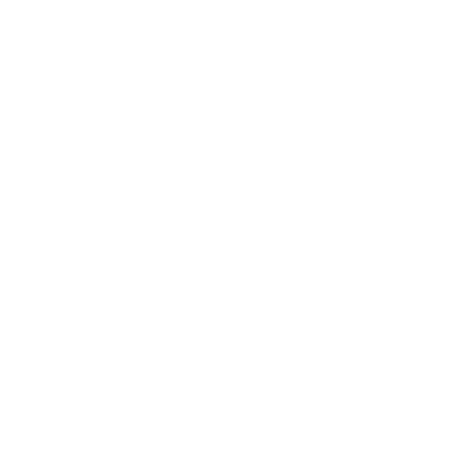 American Percussion Seminar White Logo